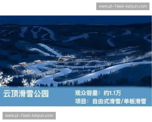 开云体育直播中心：重新定义您的观赛体验