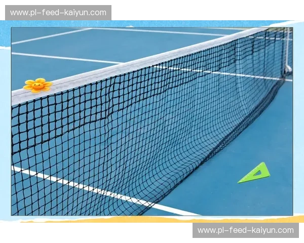 羽毛球网前封网：制胜关键，提升竞技水平的利器